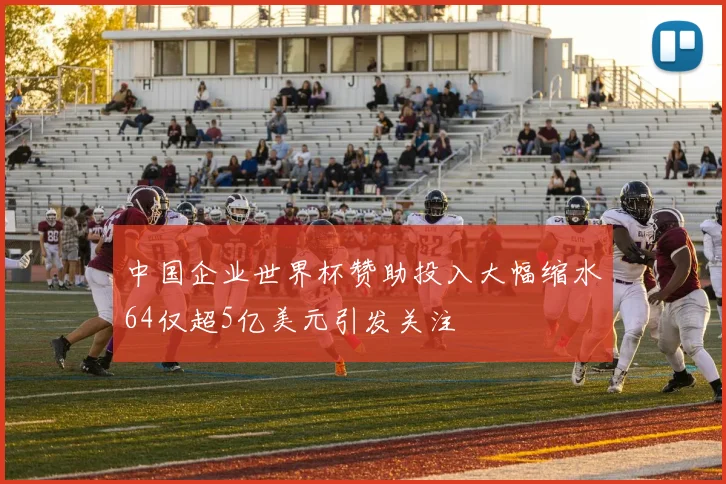 中国企业世界杯赞助投入大幅缩水64仅超5亿美元引发关注